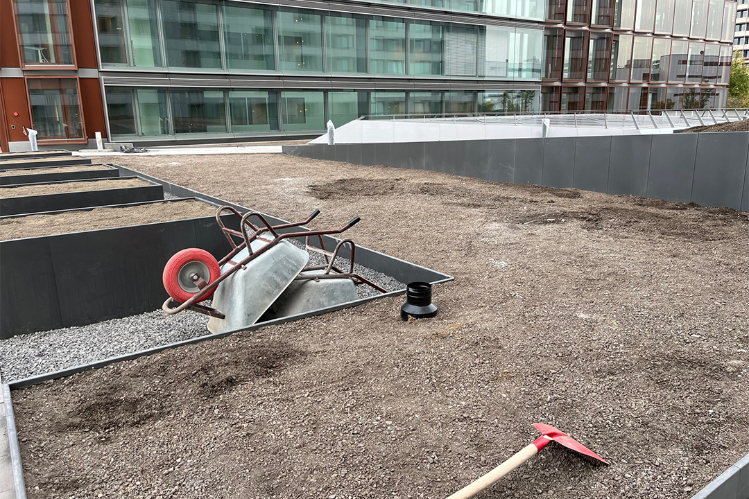 Gewerbegrün Dachterrasse Düsseldorf - vorher