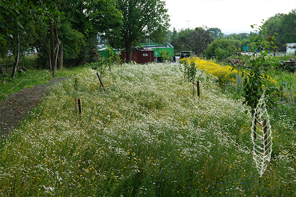 Gewerbegrün Rosbach