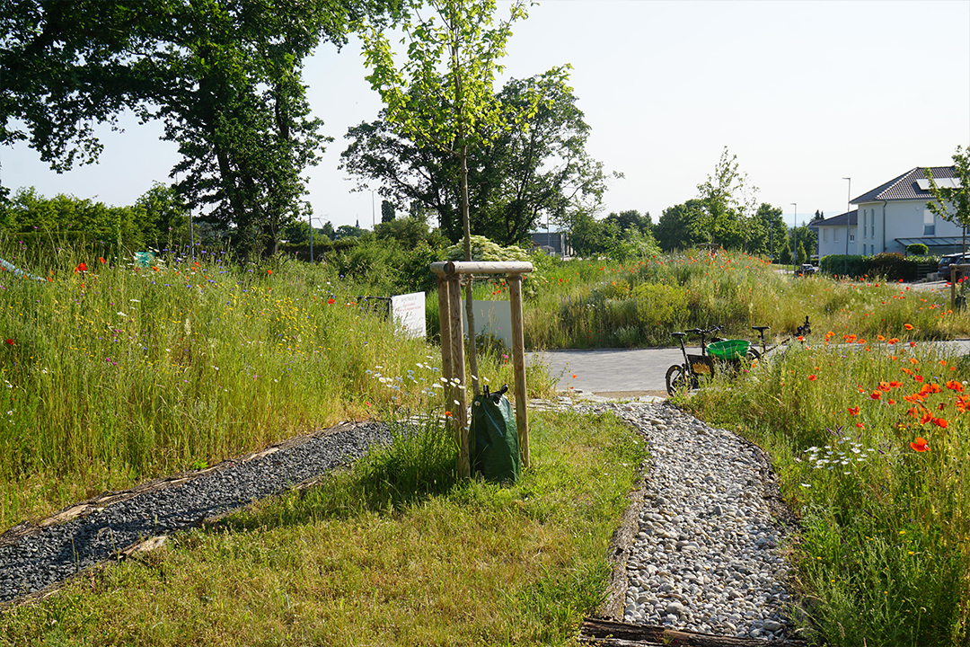 Öffentliches Grün Rosbach