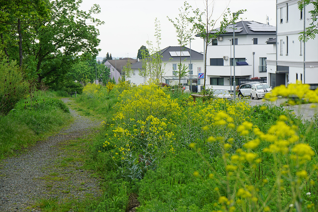 Öffentliches Grün Rosbach