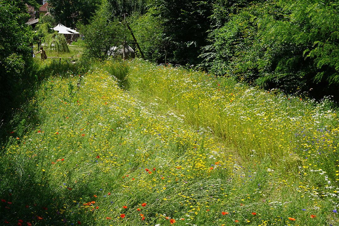 Privatgarten Agora Michelsberg Rumänien