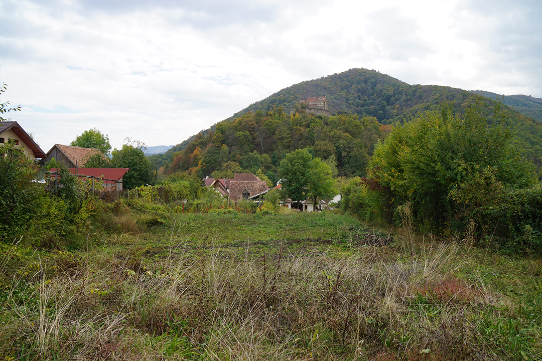 Privatgarten Agora Michelsberg - vorher