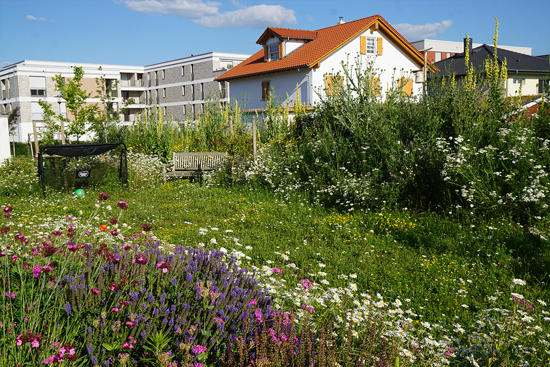Privatgarten Bad Nauheim - nachher