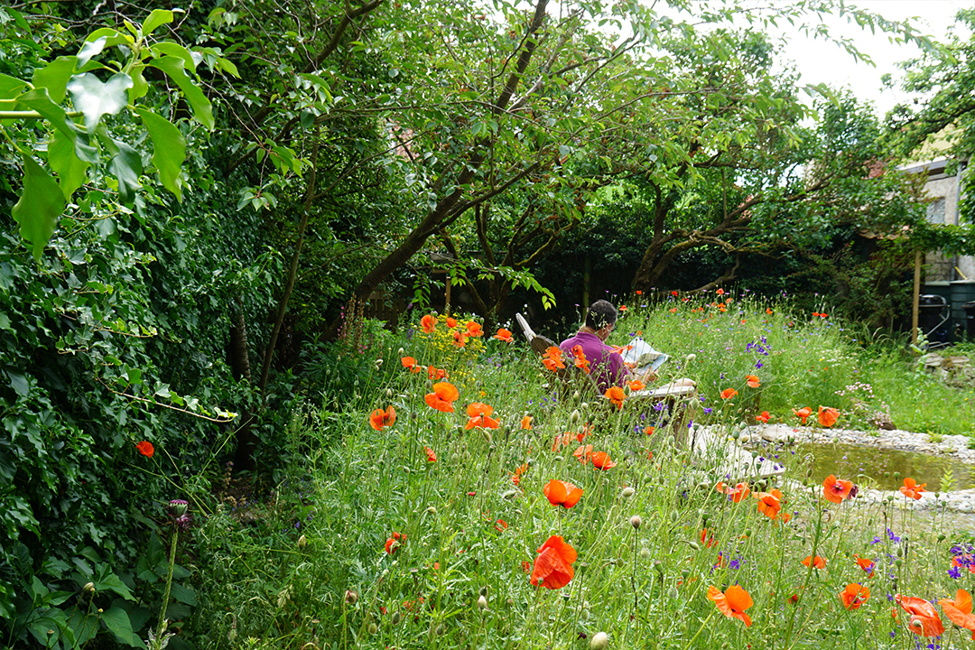 Privatgarten Burgholzhausen