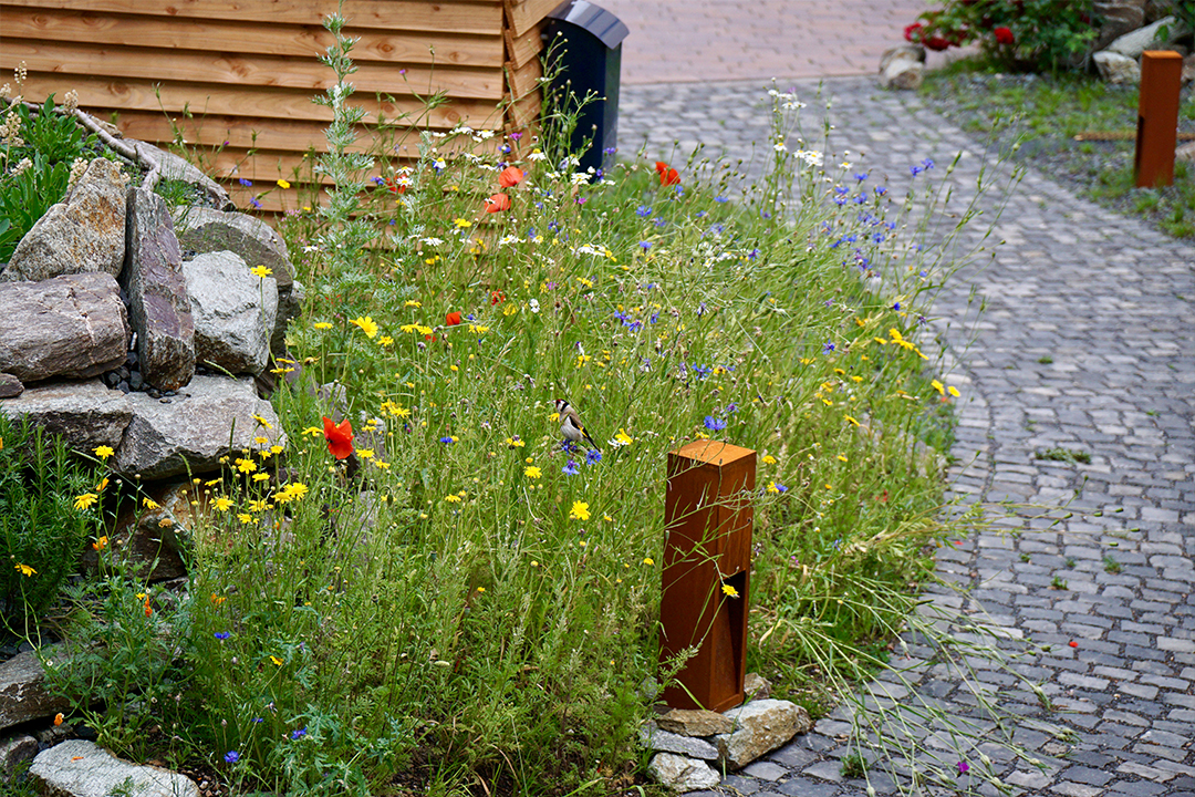 Privatgarten Hof-Garten Rosbach